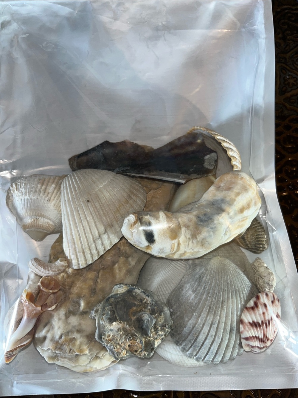Misc shell bag